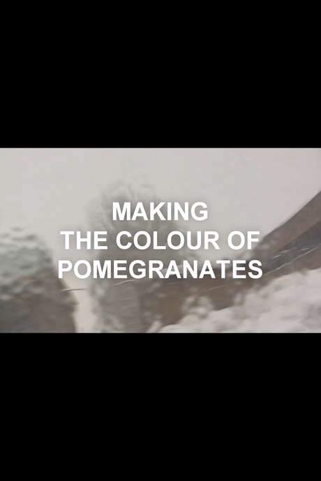 The World Is a Window: Making The Colour of Pomegranates